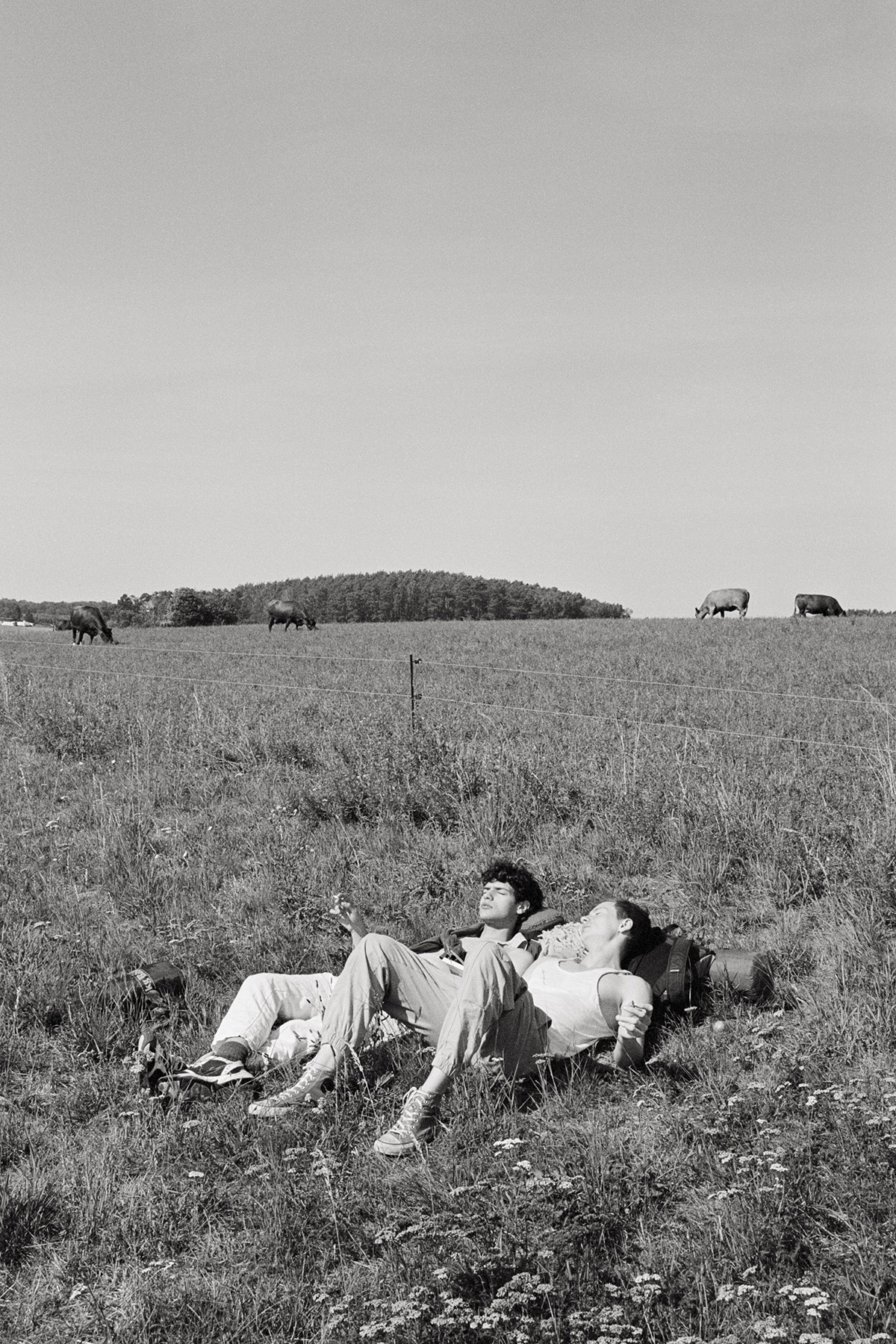Richard Kranzin Unveiling Intimate Moments Container Love