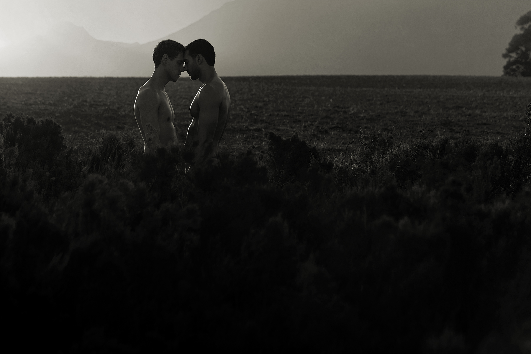 Container_Love_Pascal_Bier_The_Space_Between_Us_3