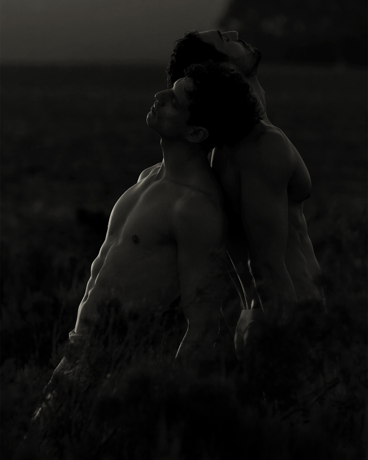 Container_Love_Pascal_Bier_The_Space_Between_Us_4